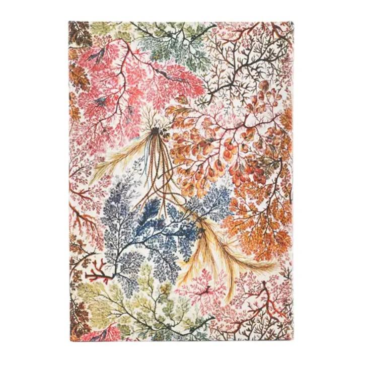 Paperblanks 2026 English Diary  12 Aylık Sert Kapak  Anemone Midi Hor Ajanda