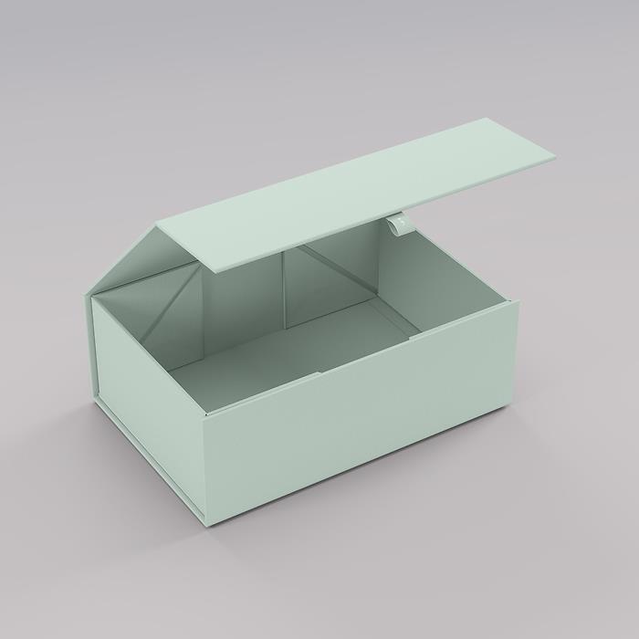 Semikolon 4Rooms Box, Large, Moss