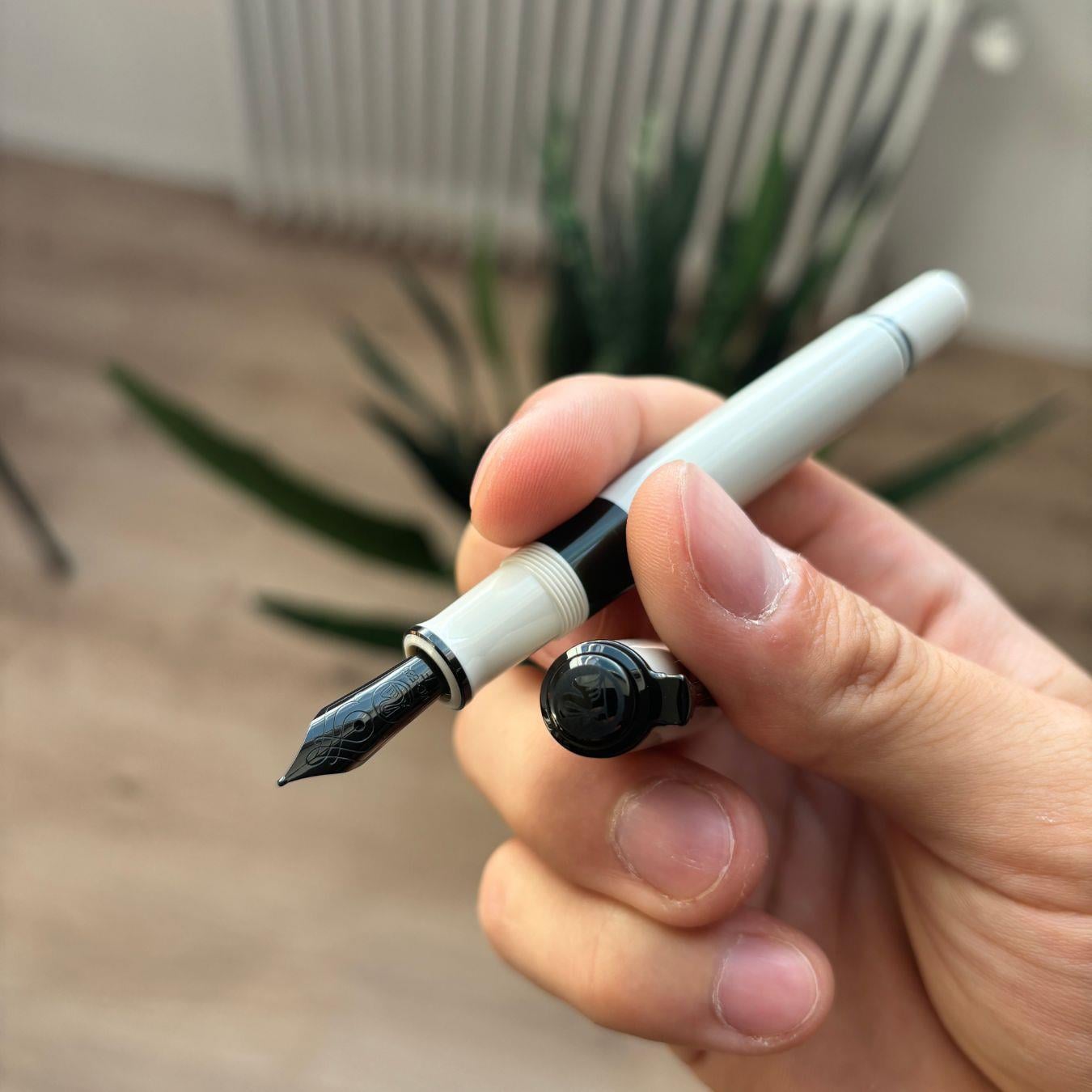 Pelikan Souveran M670 Warm Grey Dolma Kalem EF