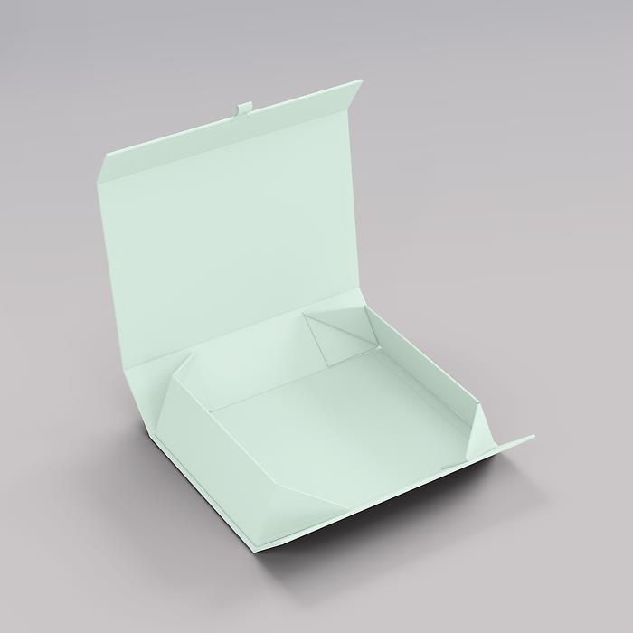Semikolon 4Rooms Box, Medium, Moss
