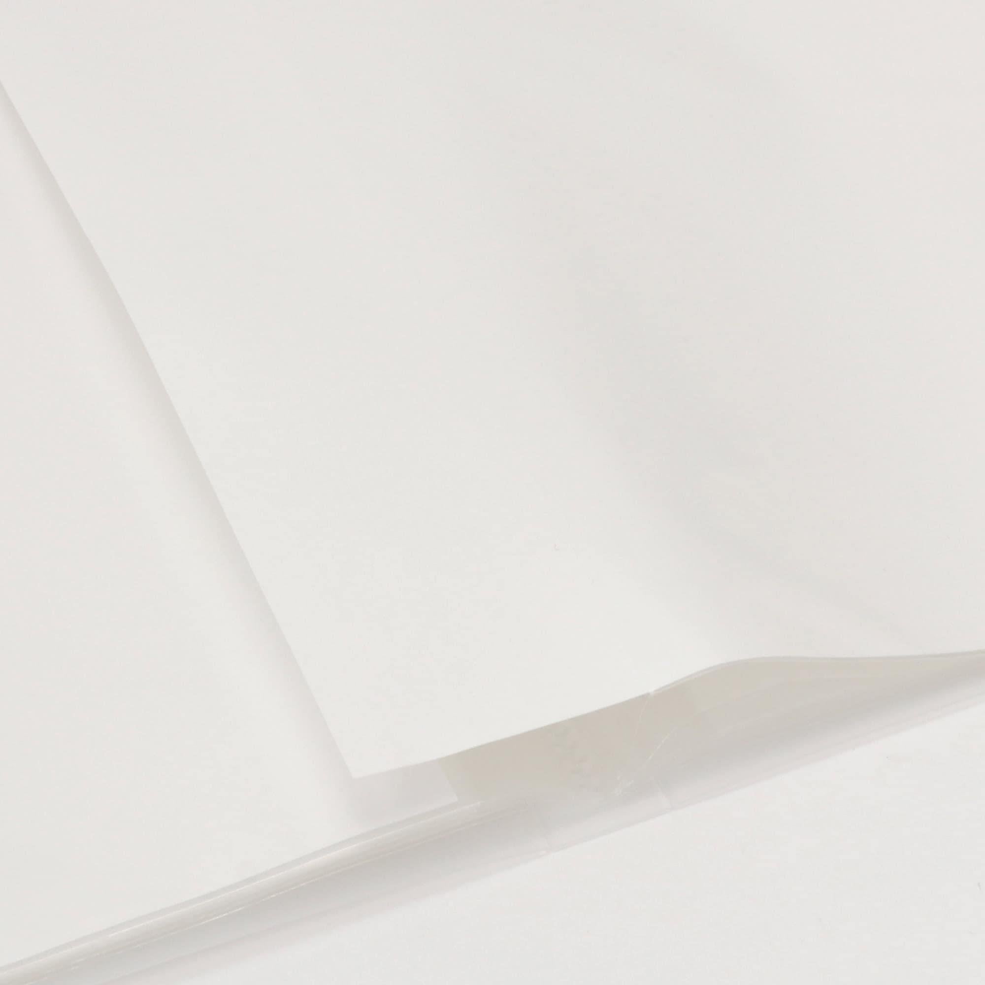 Muji Polypropylene Clear Folder Side Opening A4 Şeffaf Dosya
