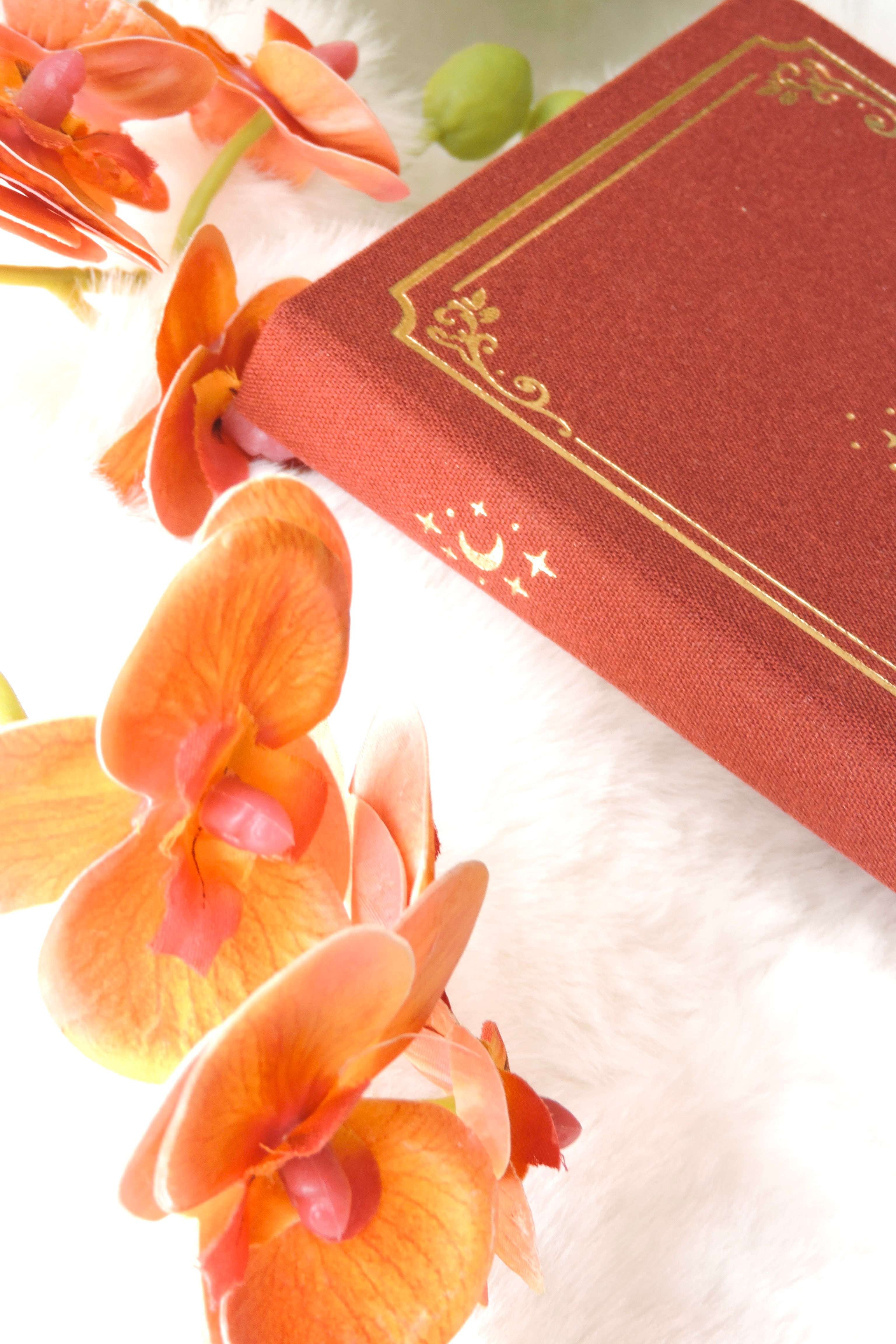Nova Crafts Keten Yaldız Kapak Noktalı Defter 10x20.5 cm. 90 gr. Ivory 224 sy. Yaldız Kenar, Burgundy