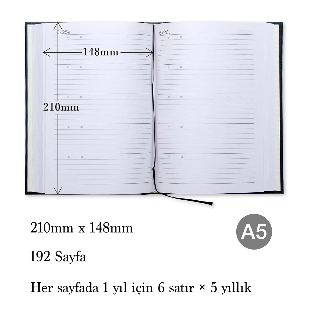 Apica A5 5 yıllık Günlük D304