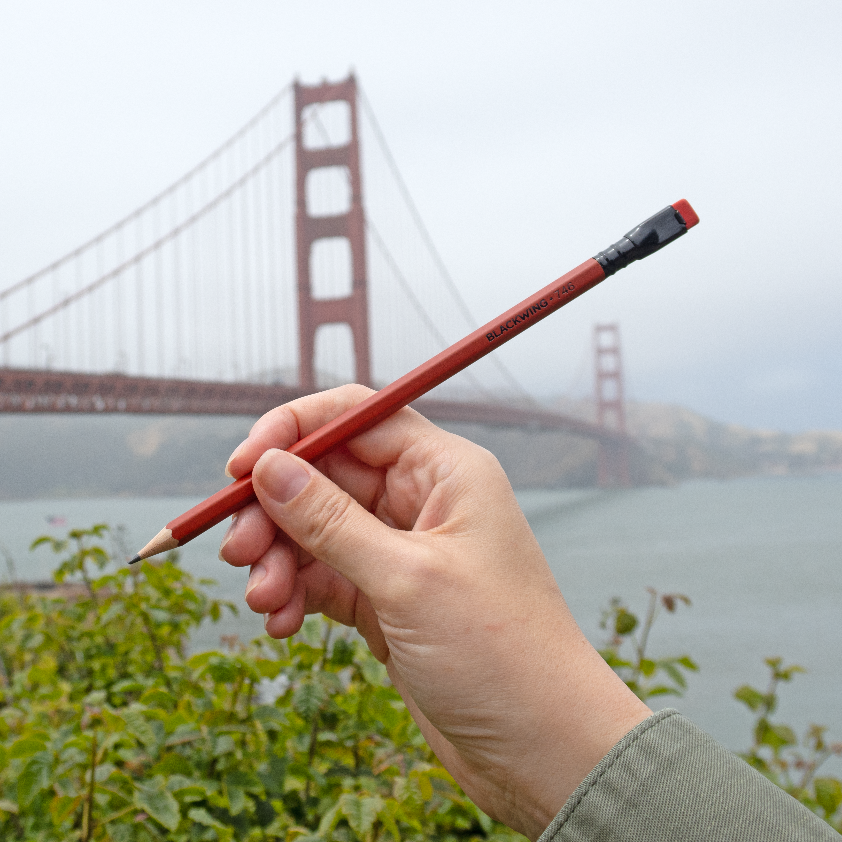 Palomino Blackwing Limited Edition Volume 746 Kurşun Kalem