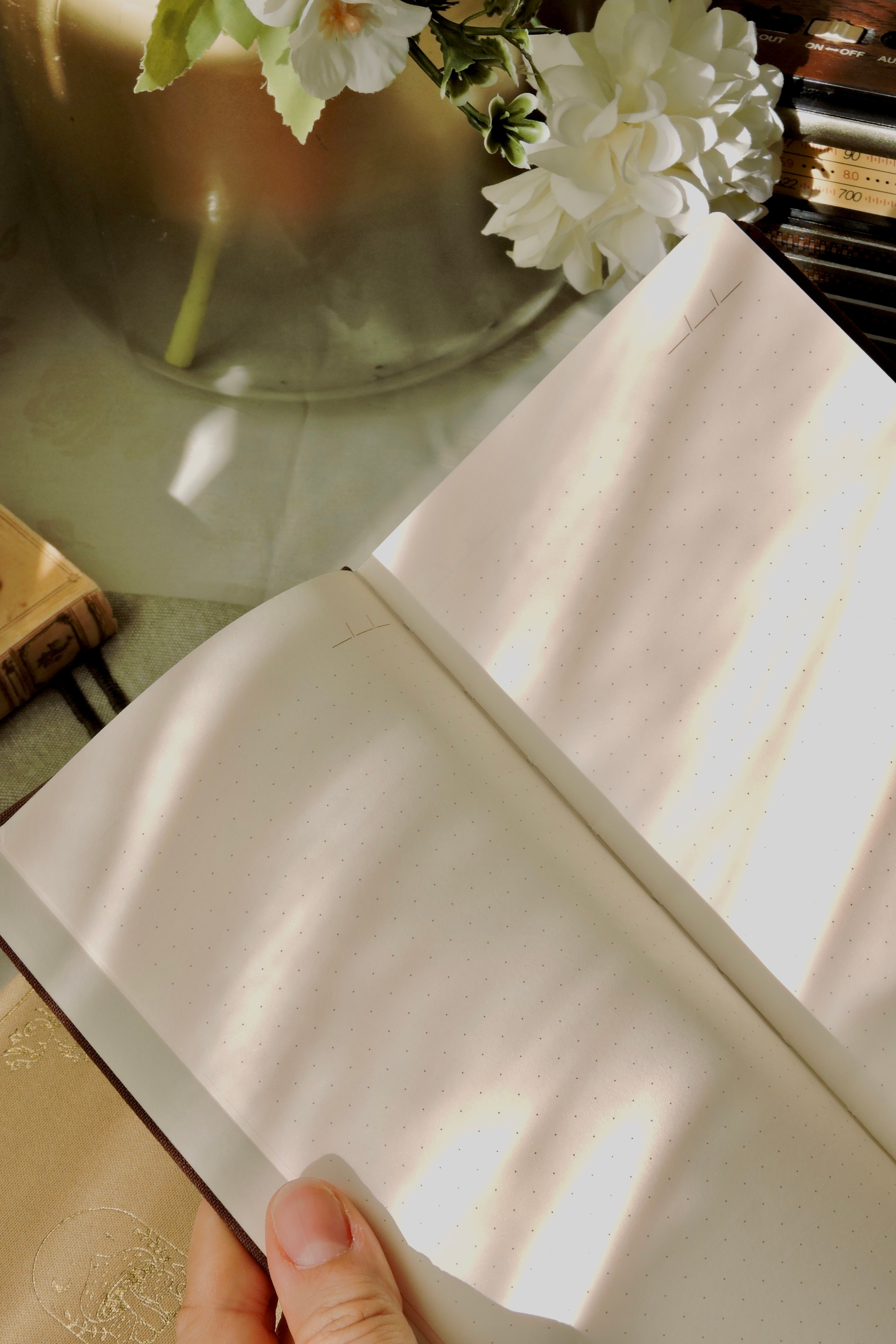 Nova Crafts Keten Yaldız Kapak Noktalı Defter 10x20.5 cm. 90 gr. Ivory 224 sy. Yaldız Kenar, Brown