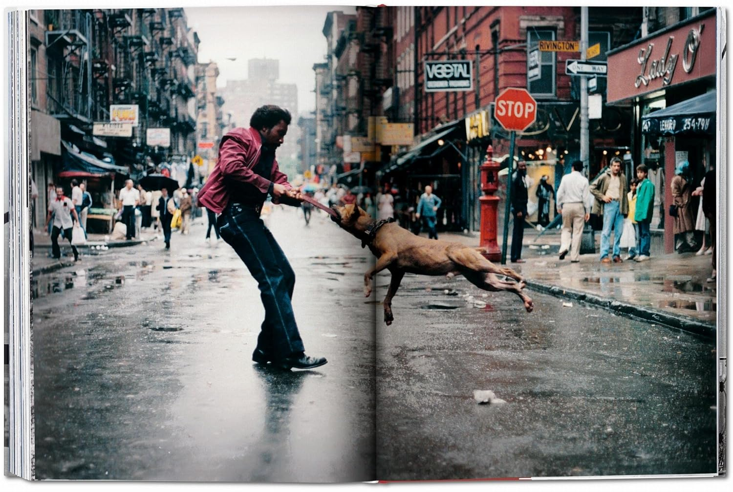 Taschen : New York Portrait of a City