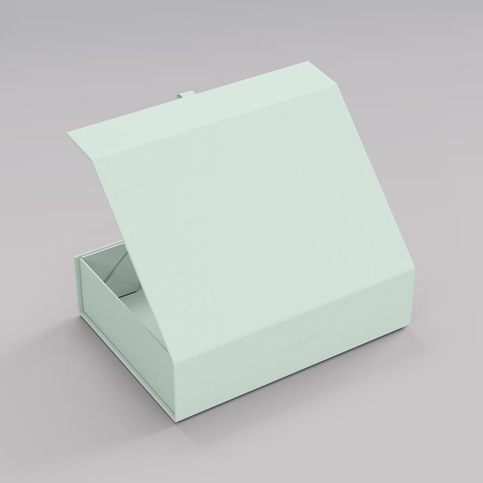 Semikolon 4Rooms Box, Medium, Moss