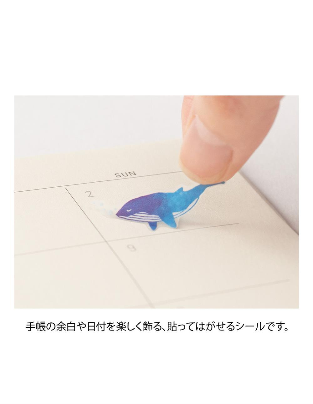 Midori sticker  color blue