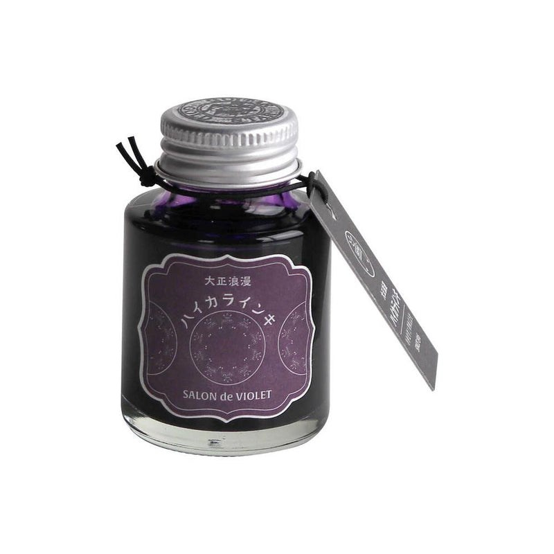 Teranishi Guitar Şişe Mürekkep 40 ml Salon de Violet