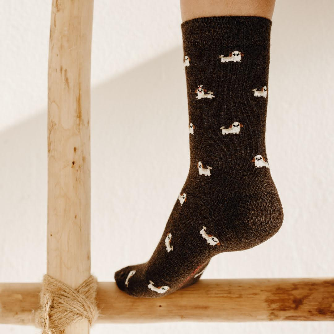 Fundaze Essential Socks Çorap - Shih Tsu