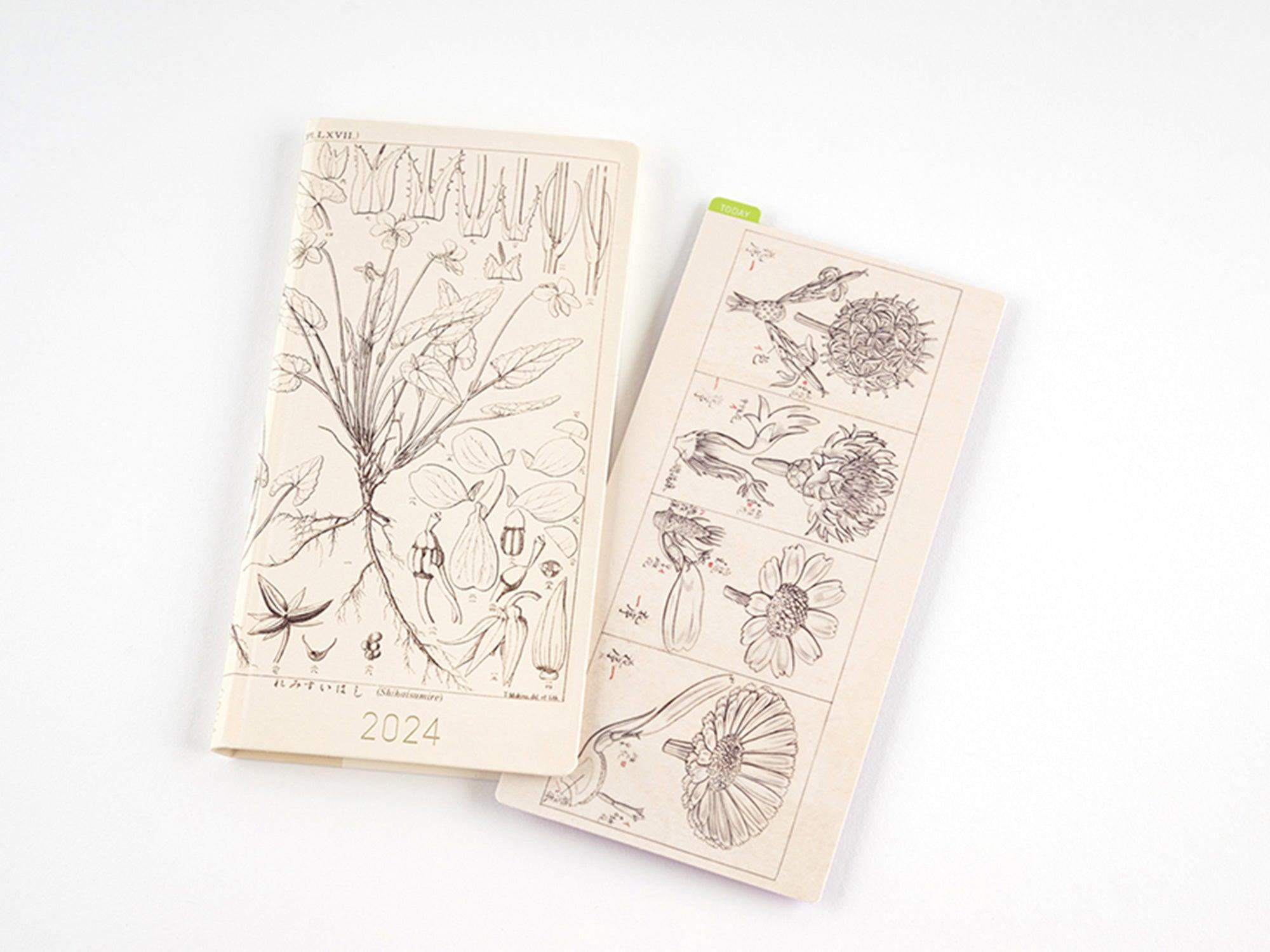 Hobonichi Weeks Japanese Version 2024 Jan. Start Tomitaro Makini Shihai Summer