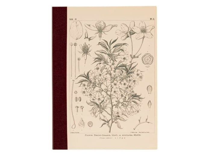 Hobonich Techo Yamazakura by Tomitaro Makino Kareli A5 Defter