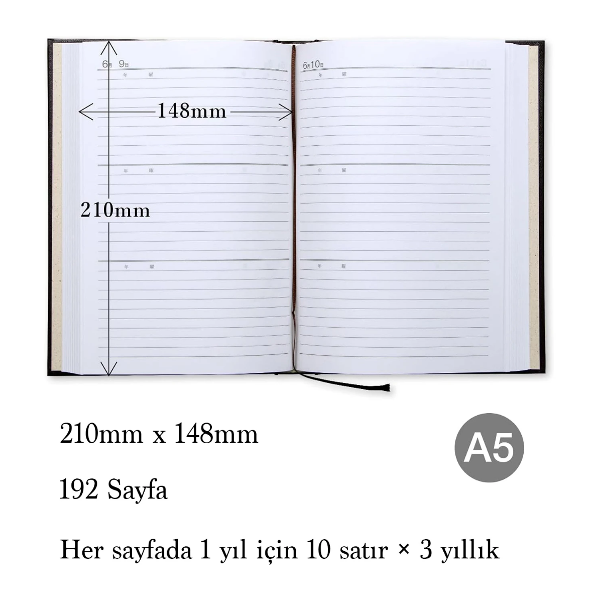 Apica A5 3 yıllık Günlük D303