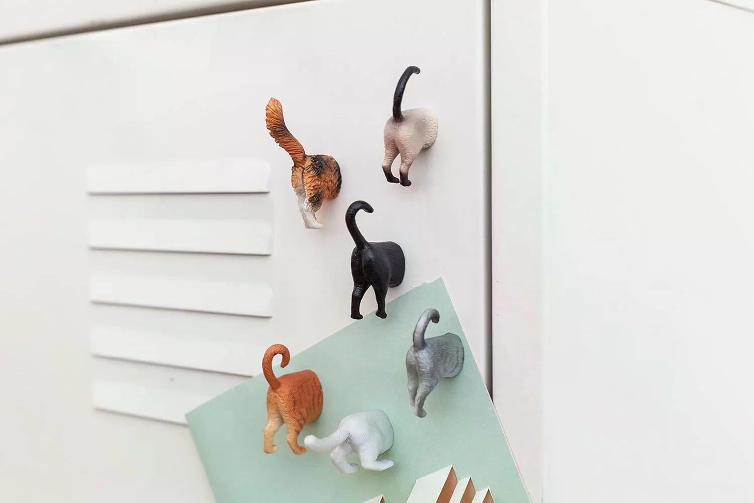Kikkerland Funny Cat Butt Kedi Poposu Magnet Seti