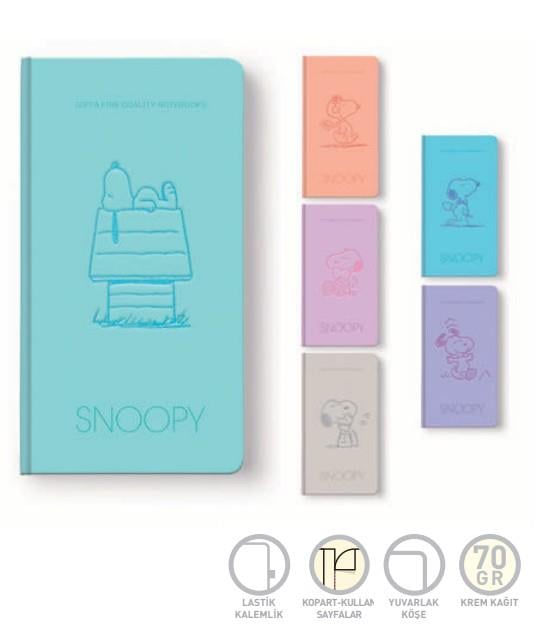 Gıpta Sert Kapaklı 9x14 cm 80 Sayfa Çizgisiz Defter Snoopy Gri