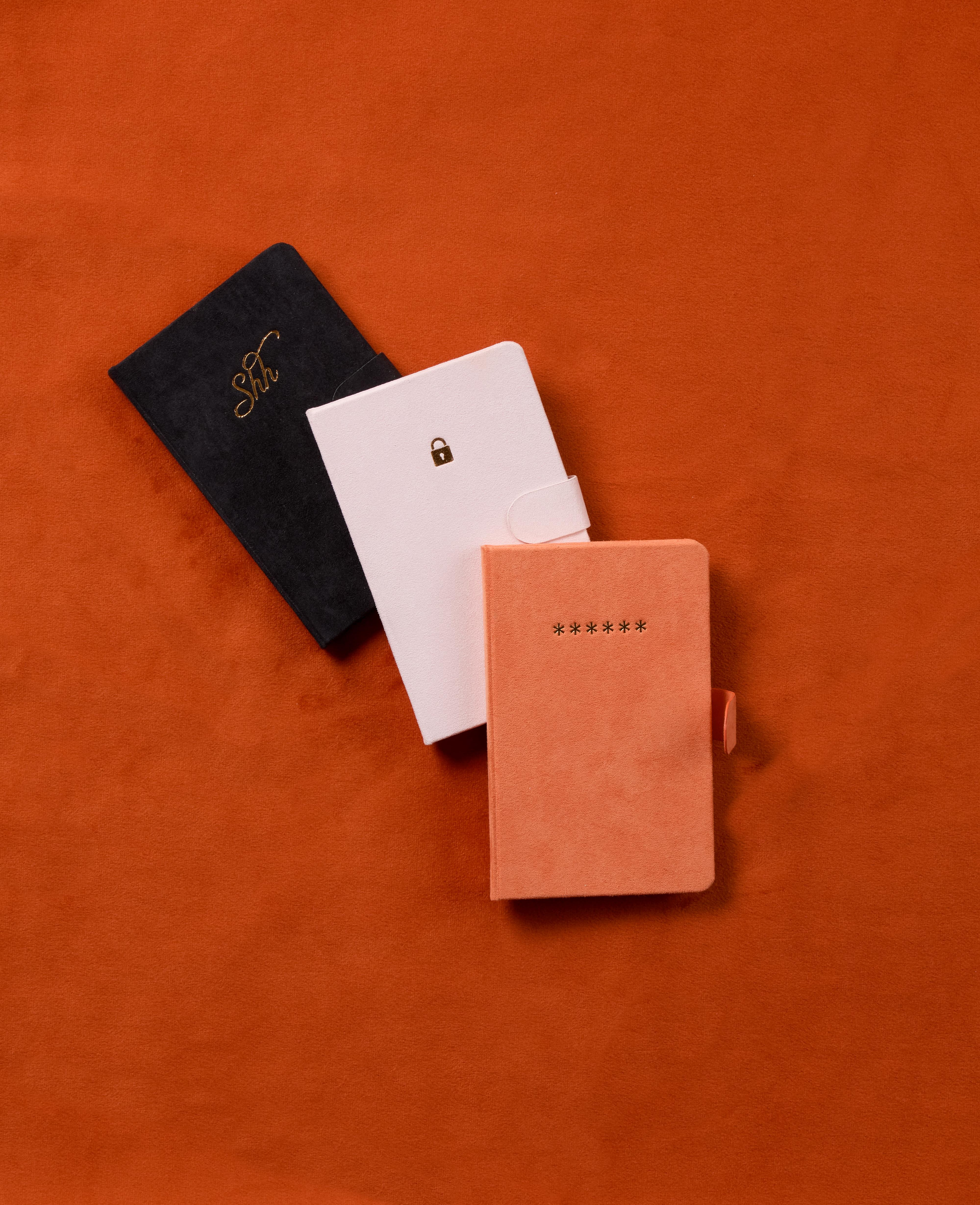 DesignWorks Ink Mini Password Journal - Shh Günlük