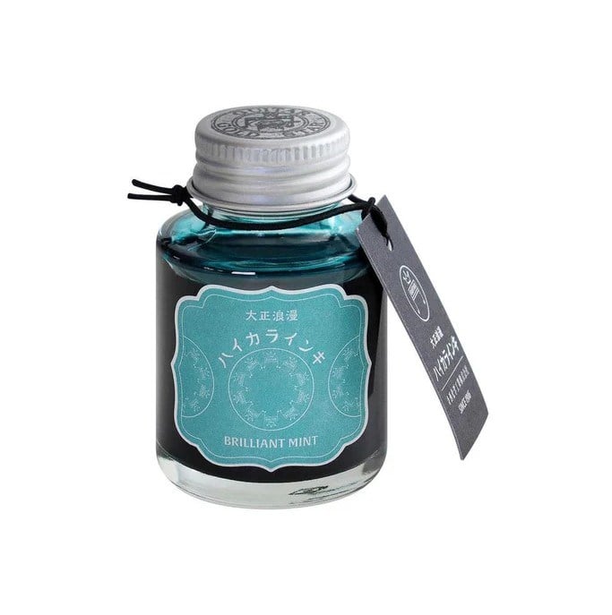 Teranishi Guitar Şişe Mürekkep 40 ml Brilliant Mint