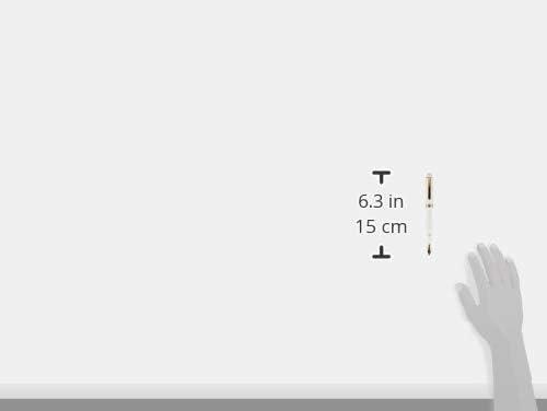 Platinum  #3776 Century Dolma Kalem PNB 13000 Gold Trim 2 Chenonceau White SF Soft Fine