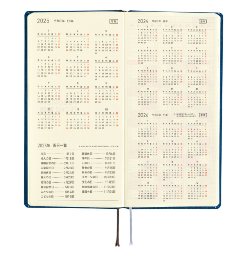 Hobonichi Techo Weeks 2025 Mega Colors: Star Dust