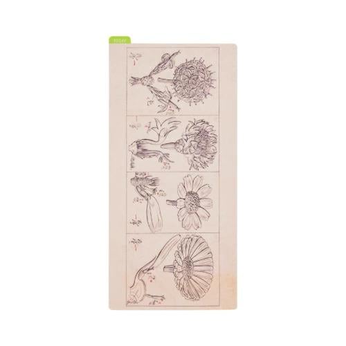 Hobonichi Pencil Board for Weeks Dr. Makino 