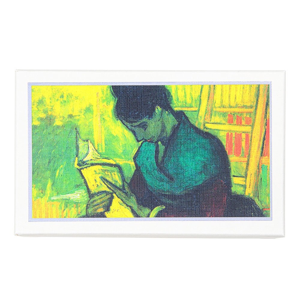Visconti Van Gogh the Novel Reader Versatil Kalem