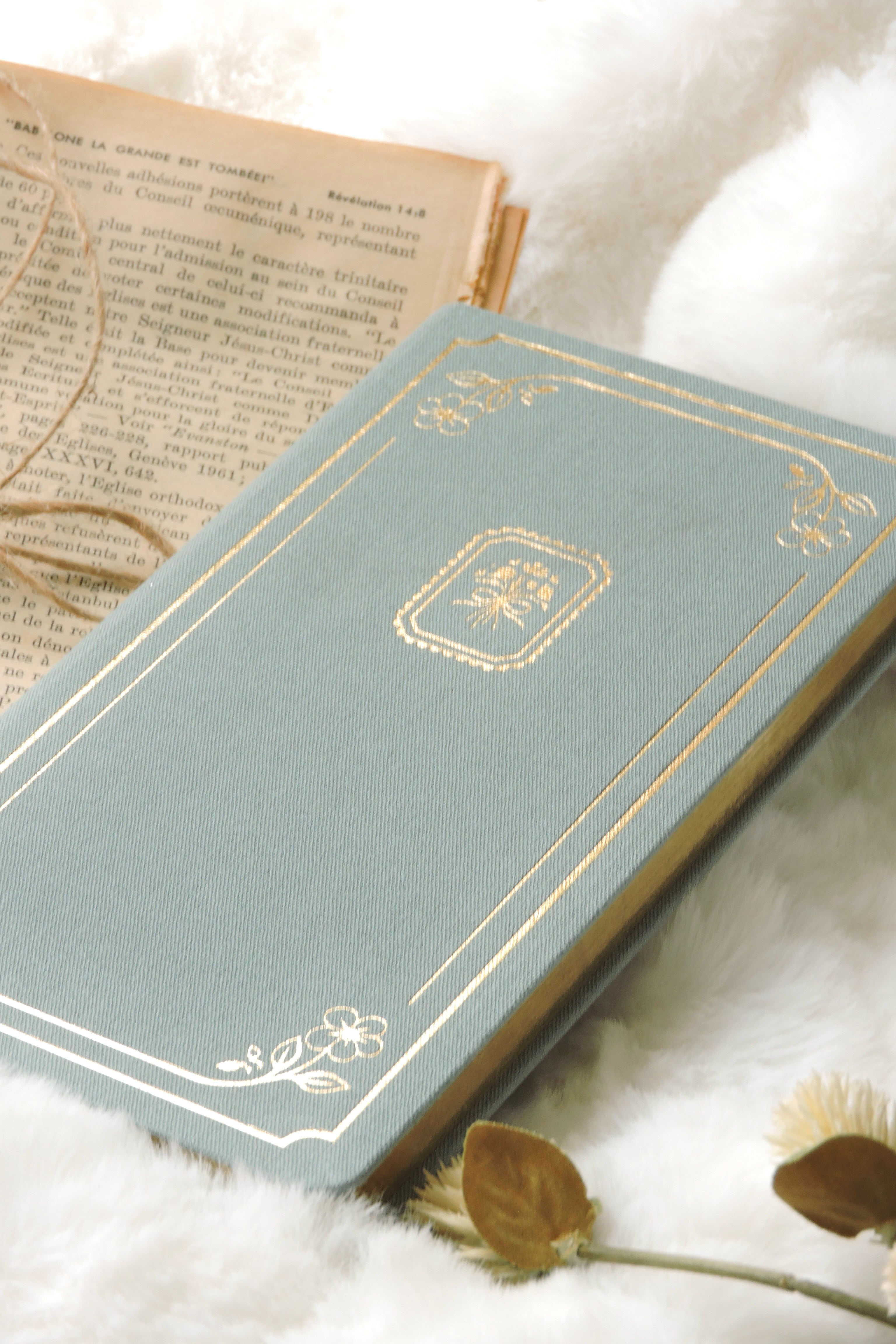 Nova Crafts Keten Yaldız Kapak Noktalı Defter 10x20.5 cm. 90 gr. Ivory 224 sy. Yaldız Kenar, Aqua Green