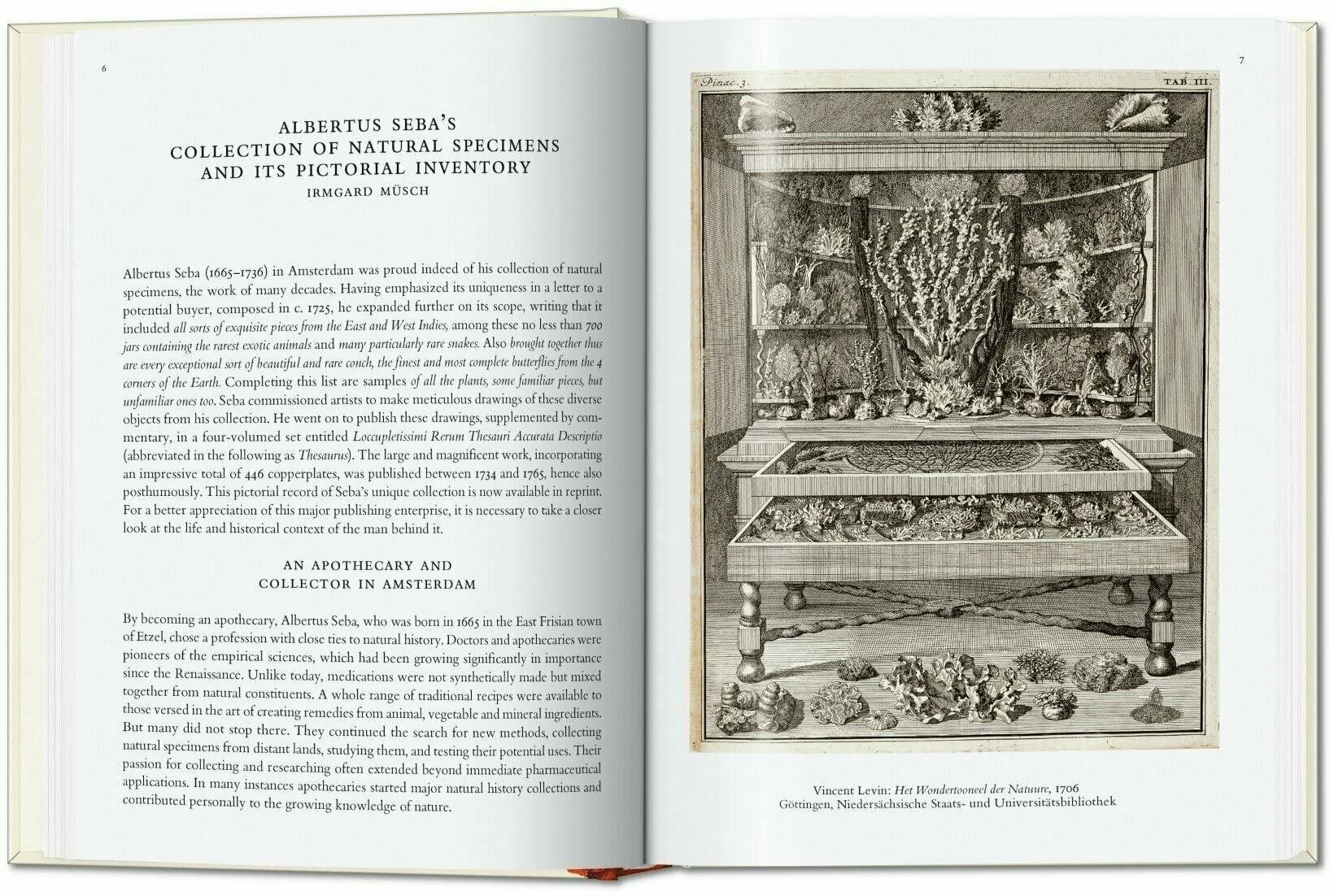 Taschen Seba. Cabinet of Natural Curiosities. 40th Ed.