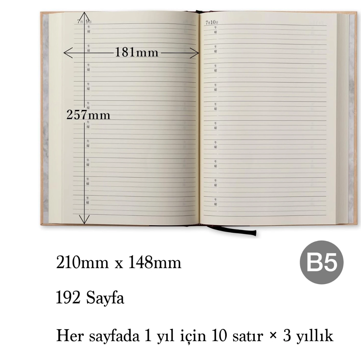 Apica B5 10 yıllık Günlük D313