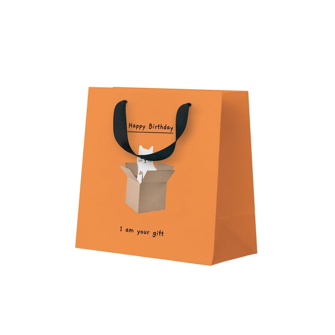 Ohh Deer Ken The Cat Tasarımı Küçük Hediye Çantası I Am Your Gift 12277