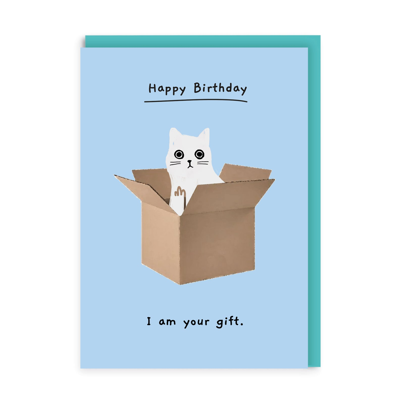Ohh Deer Ken The Cat Tasarımı A6 Kartpostal Cat In A Box 8819