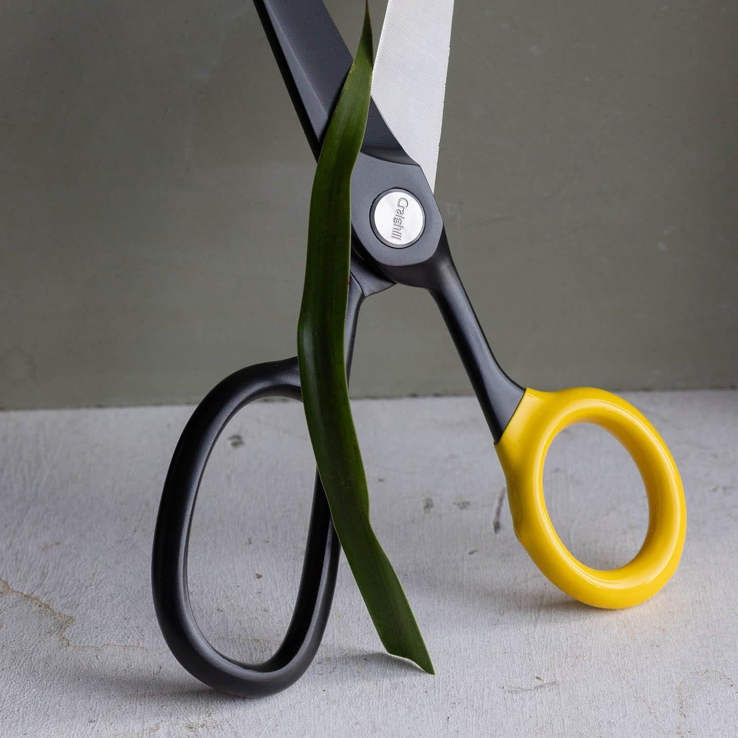 Craighill Chroma Scissors  Black & Yellow Seramik Kaplama Döküm Paslanmaz Çelik Makas