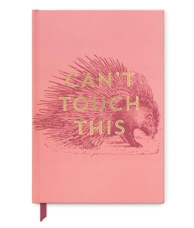 DesignWorks Ink Vintage Sass Hardcover Journal - Can't Touch This Defter