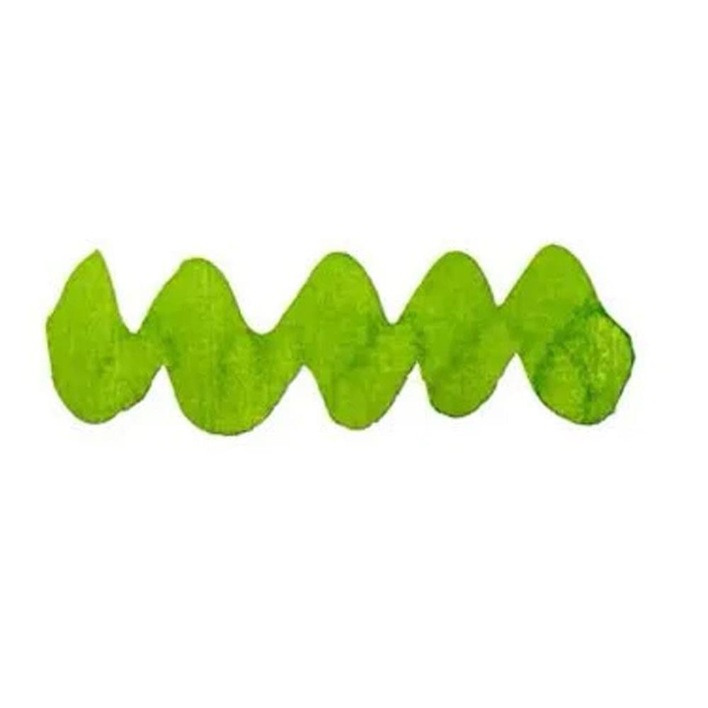 Diamine Forever Permanent & Waterproof Pigment Şişe Mürekkep 50ml Hyper Green