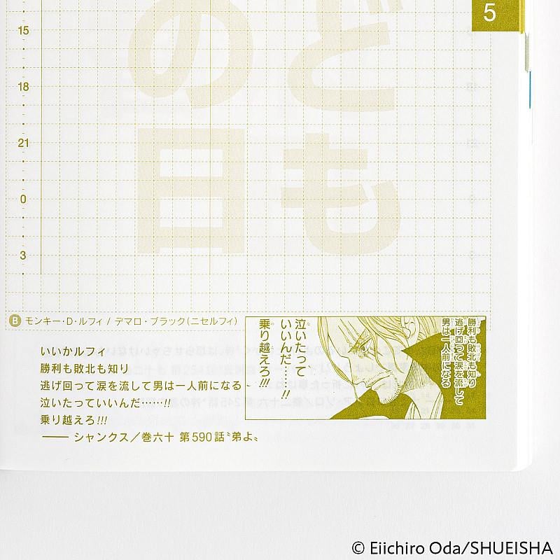 Hobonichi Techo Original Book A6 2025 One Piece Edition Ajanda/Planner