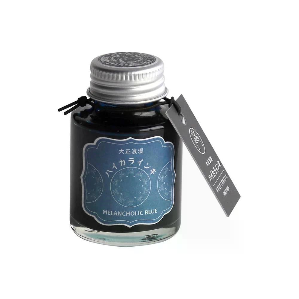 Teranishi Guitar Şişe Mürekkep 40 ml Melancholic Blue