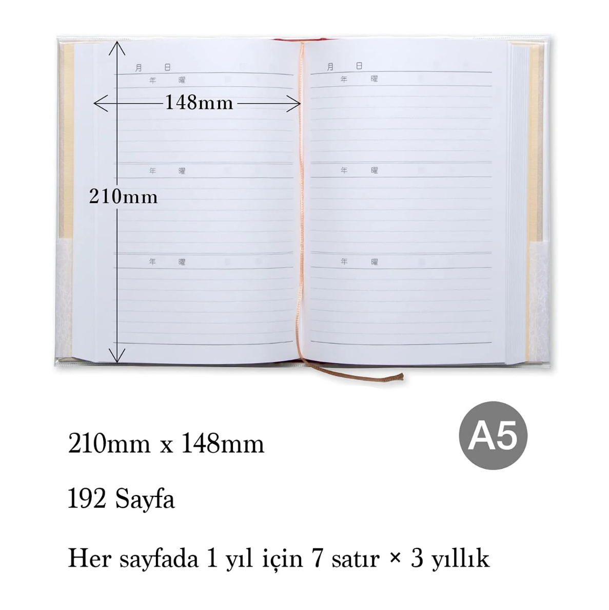 Apica A5 3 yıllık Günlük D307