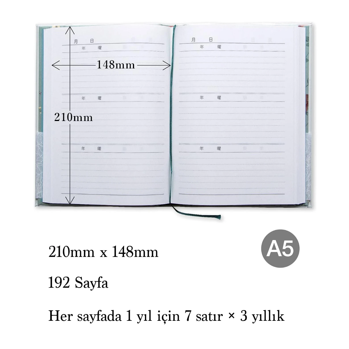 Apica A5 3 yıllık Günlük D309