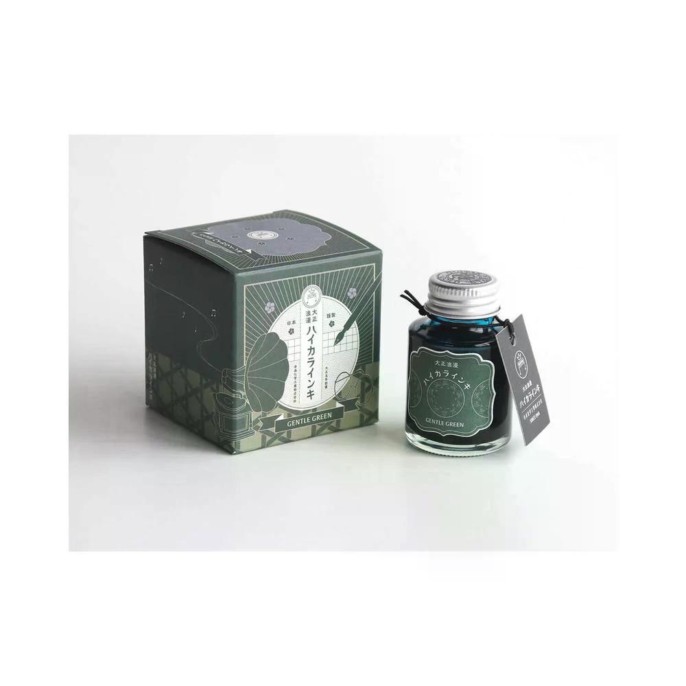 Teranishi Guitar Şişe Mürekkep 40 ml Gentle Green