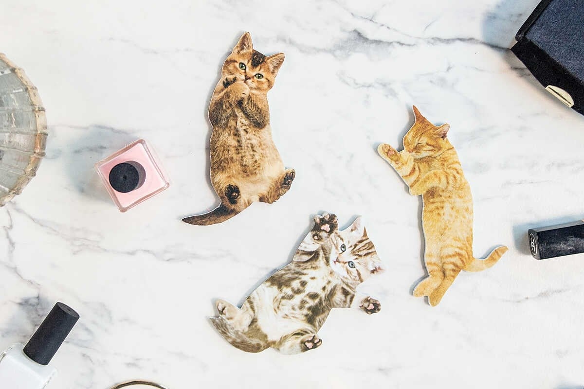 Suck Uk Cat Nail Fİles Törpü