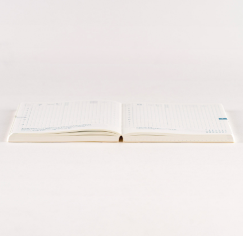 Hobonichi Techo Cousin Book A6 2025 English Version Ajanda/Planner