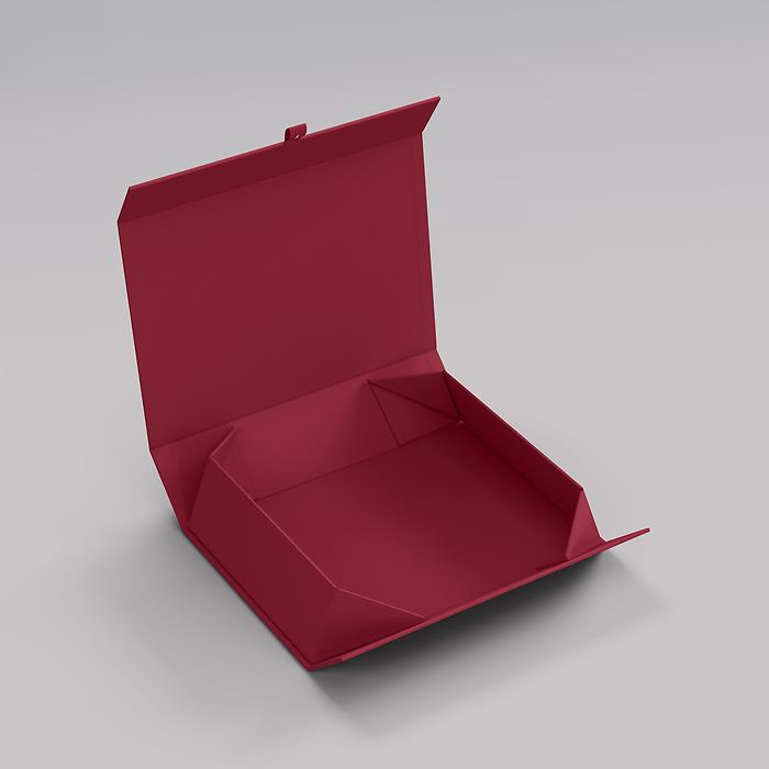 Semikolon 4Rooms Box, Medium, Burgundy