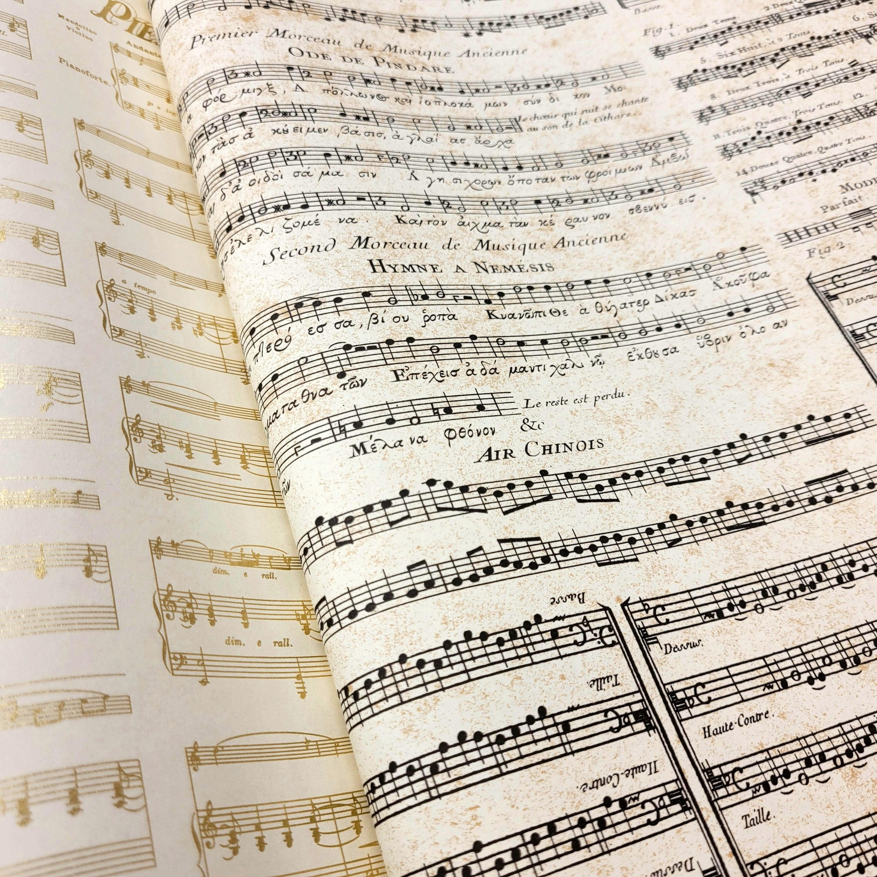 Legami Paket Kağıdı Musical Notes