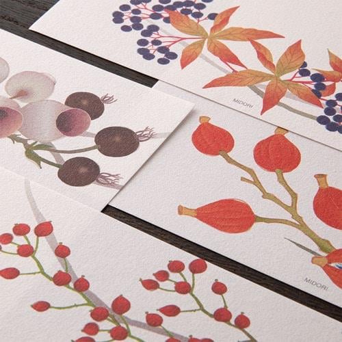 Midori MD Paper Sonbahar Temalı Desenli Mektup & Not Defteri
