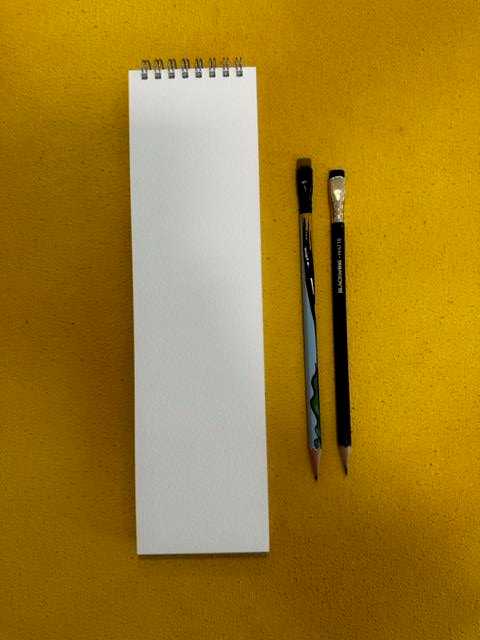 Copic Çizim Defteri Mavi Desenli 30 cm x 8 cm