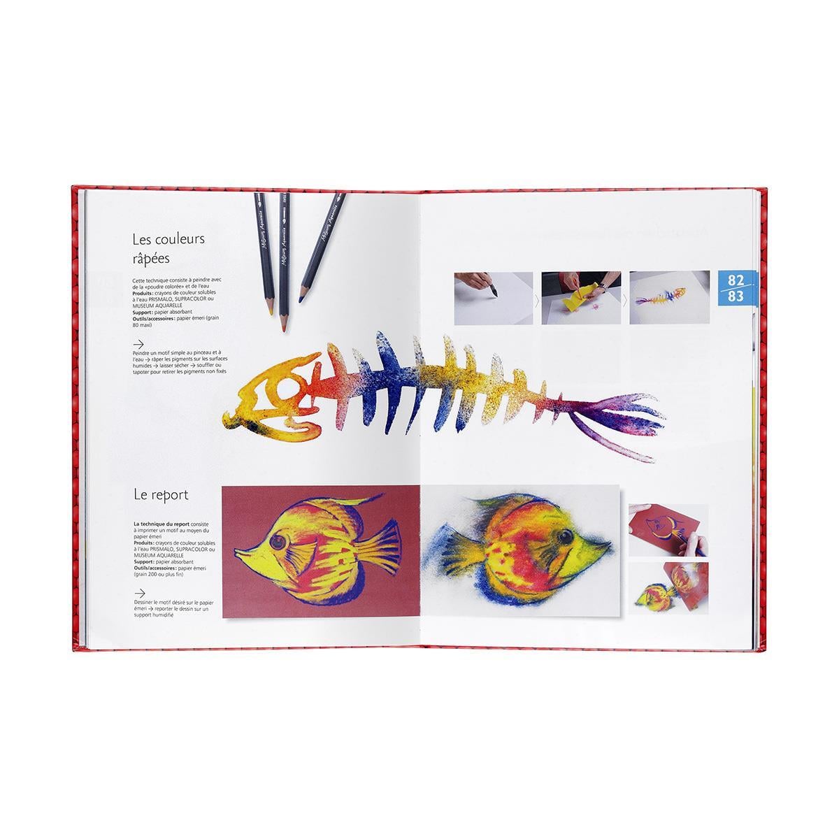 454-301 ATELIER CARAN DACHE UYGULAMA KITABI FR ATELIER CARAN DACHE WORKSHOP BOOK FR