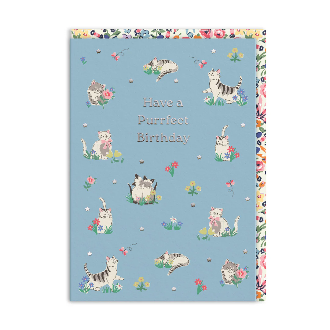 Ohh Deer Cath Kidston Tasarımı A6 Kartpostal Purrfect Birthday Kittens 11501