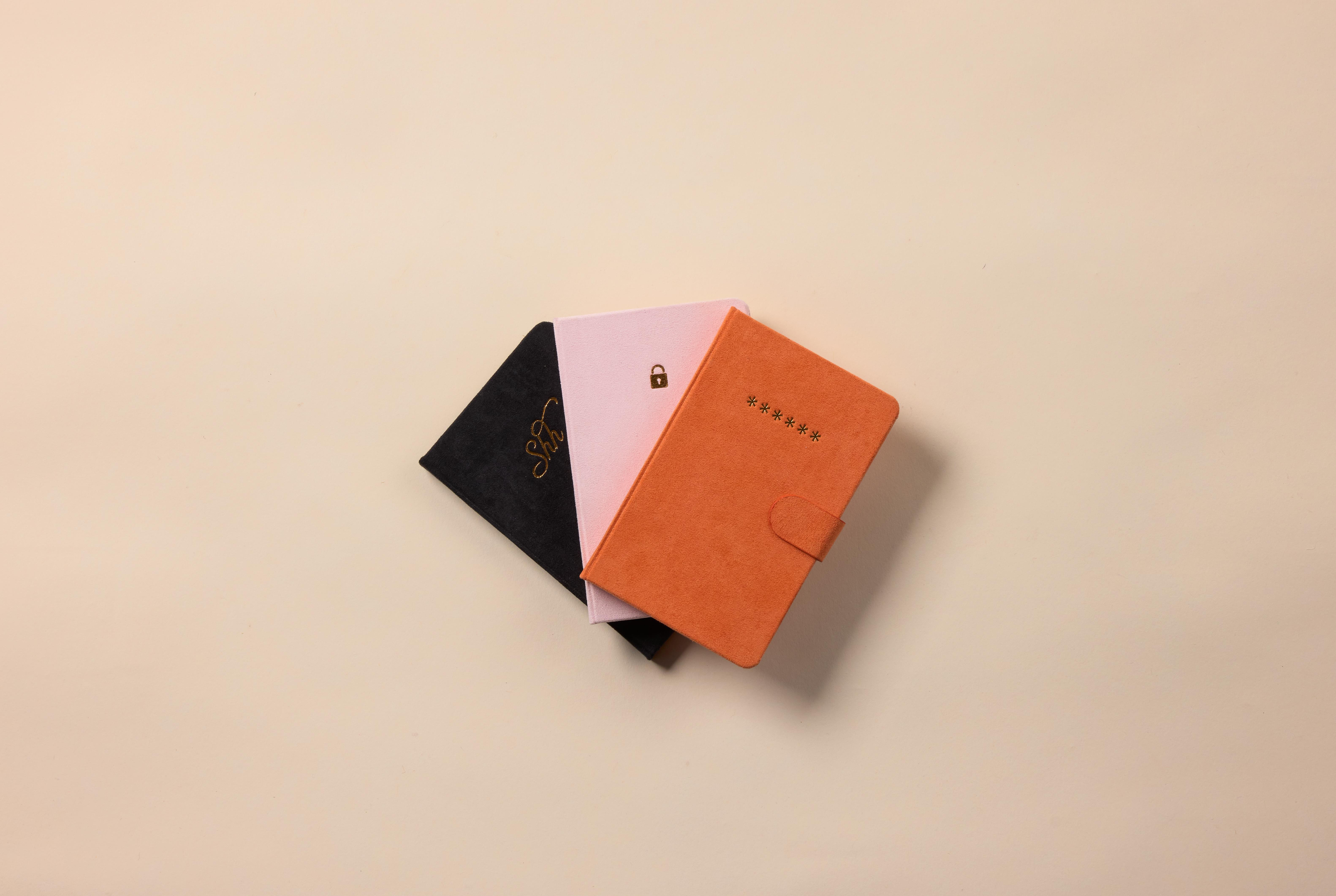 DesignWorks Ink Mini Password Journal - Lock Günlük