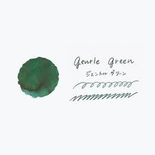 Teranishi Guitar Şişe Mürekkep 40 ml Gentle Green