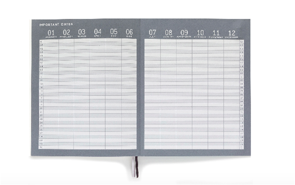 Designworks Ink Standard Issue Defter No.3 - Ochre
