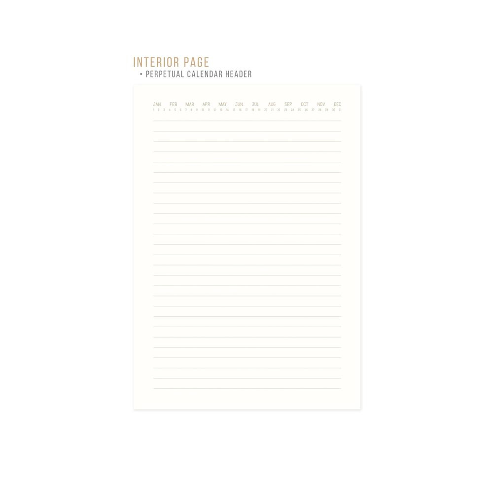 DesignWorks Ink Süet Kumaşlı Kaplı Ochre Sunburst Defter